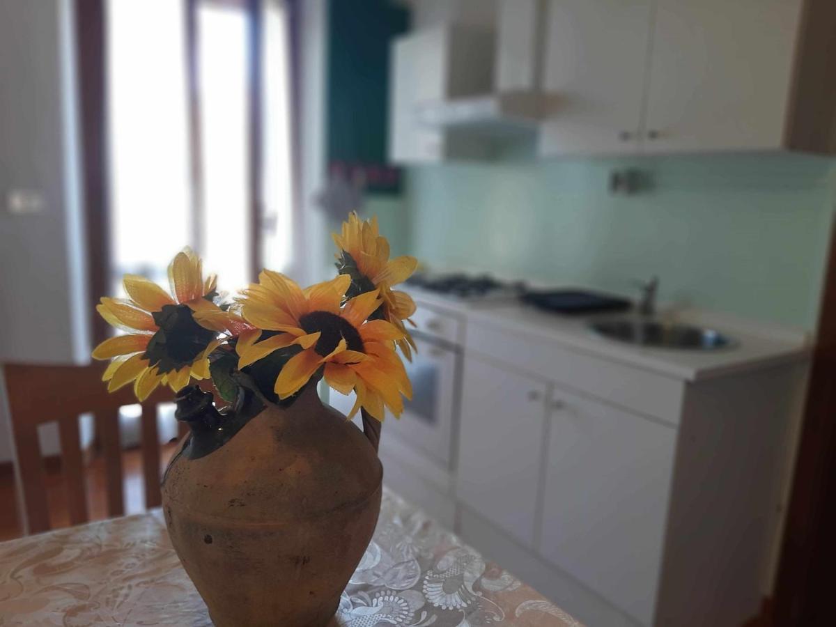 La Meriggia Agriturismo- Ampio Appartamento Con Terrazza Esclusiva 안코나 외부 사진