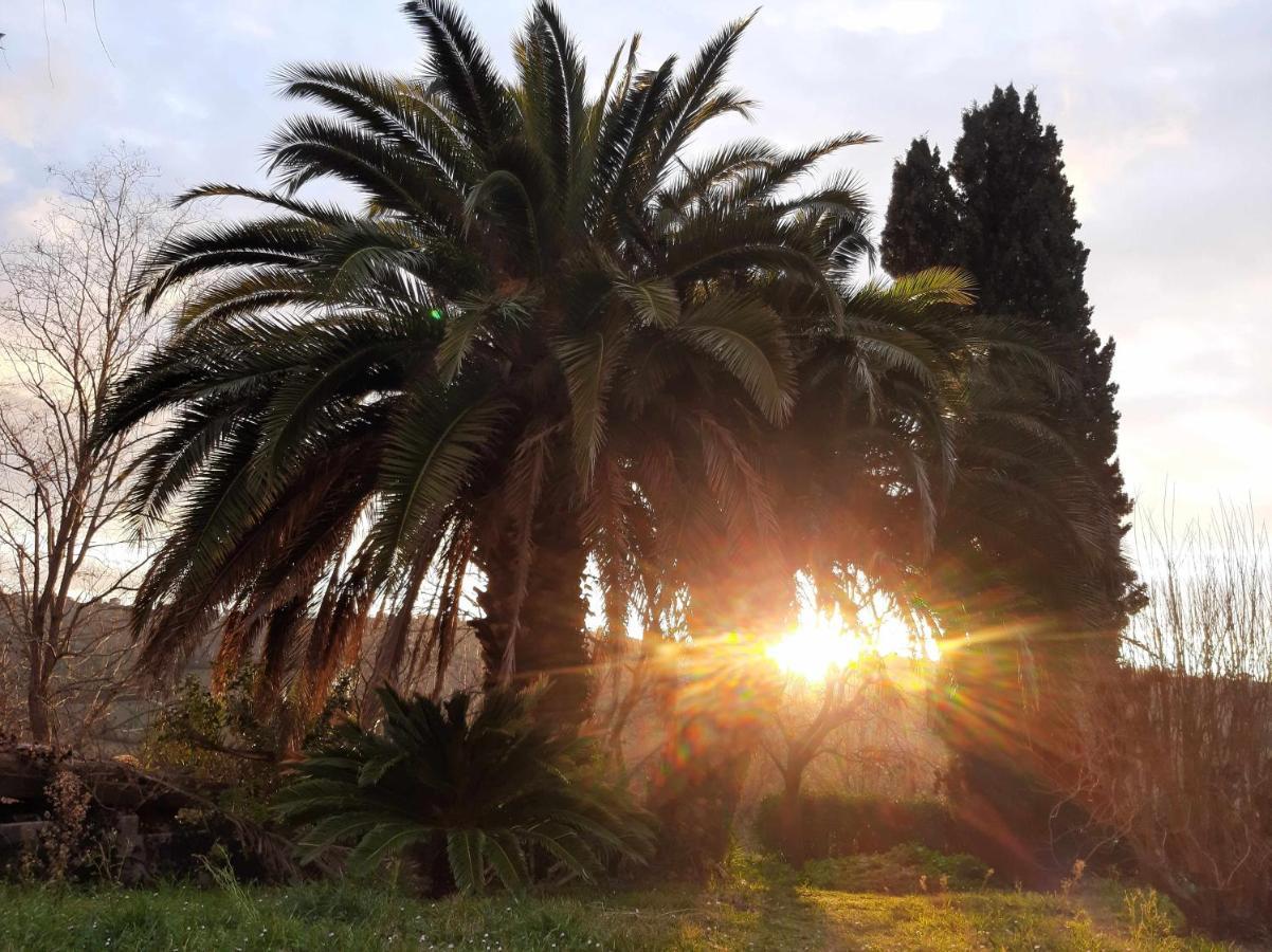 La Meriggia Agriturismo- Ampio Appartamento Con Terrazza Esclusiva 안코나 외부 사진