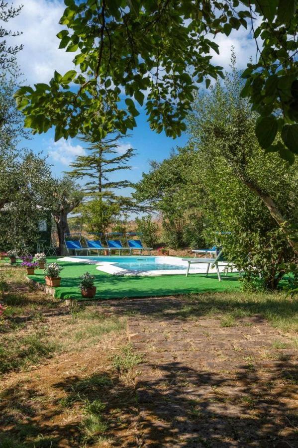 La Meriggia Agriturismo- Ampio Appartamento Con Terrazza Esclusiva 안코나 외부 사진